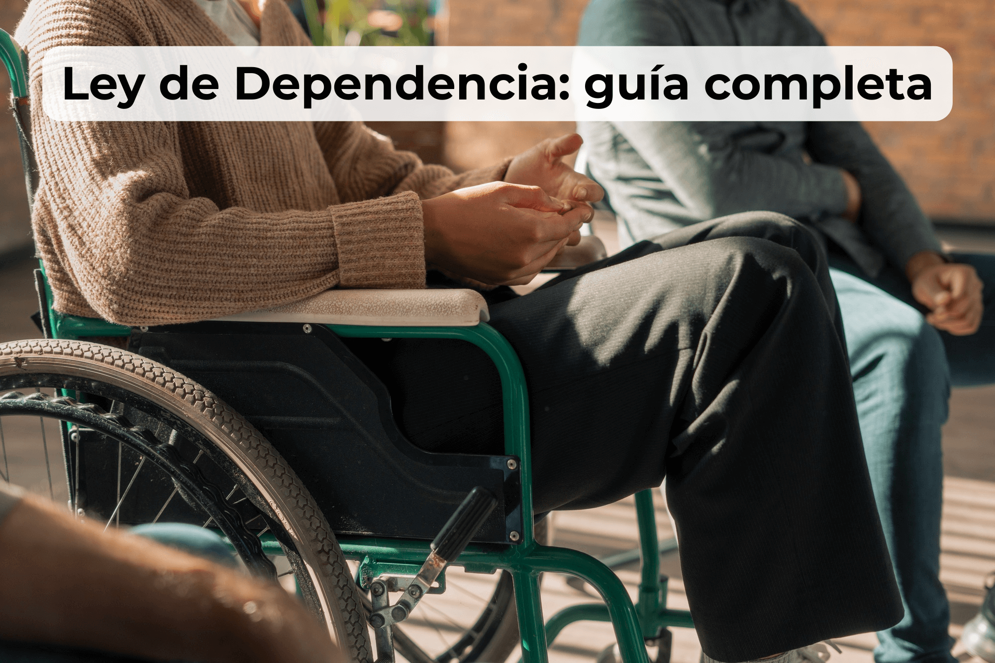Ley de Dependencia