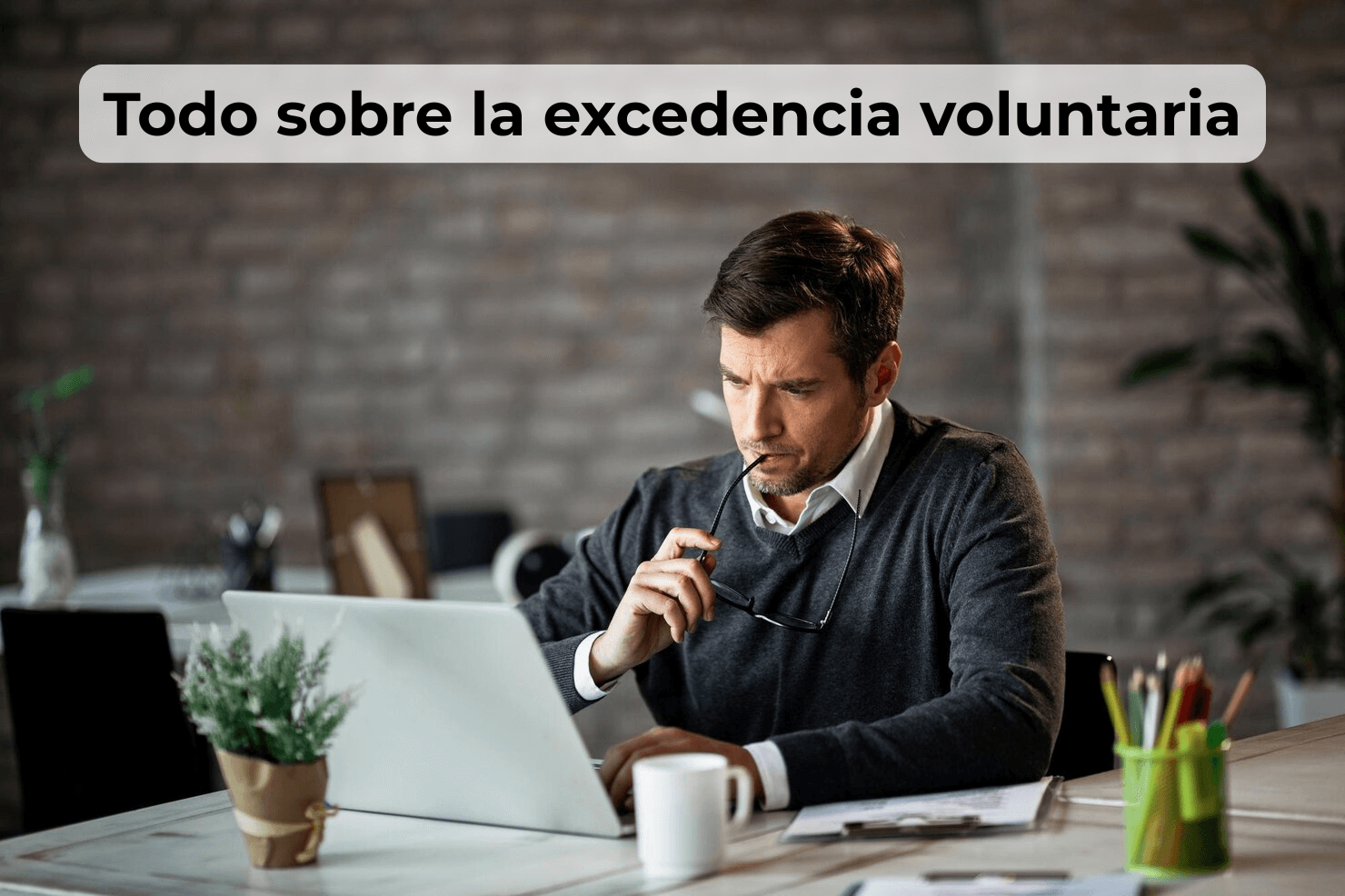 Solicitud excelencia voluntaria, requisitos, modelo