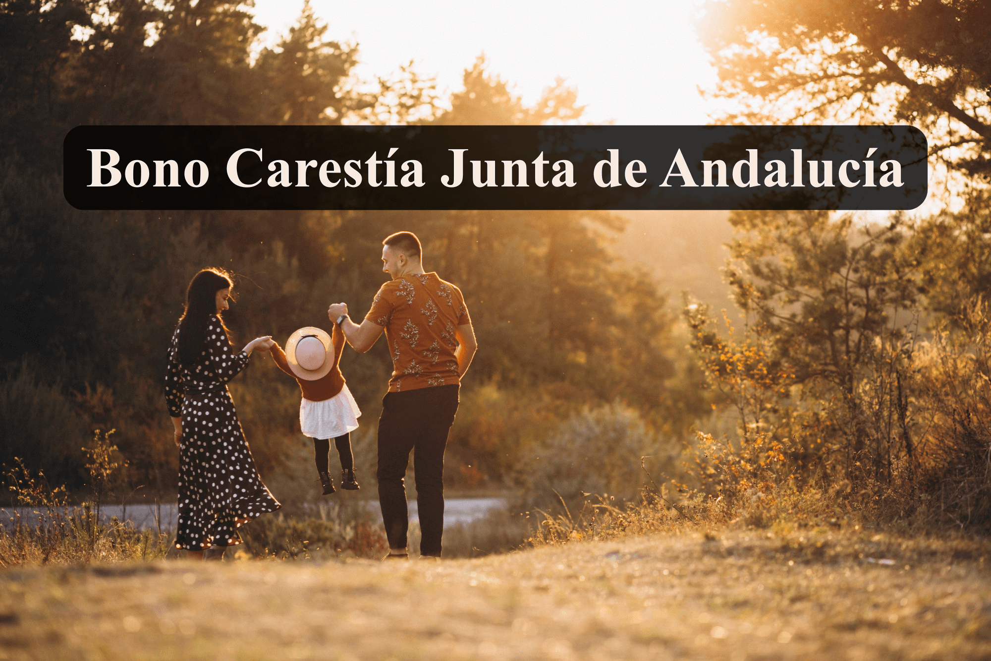 Bono Carestía Junta de Andalucía