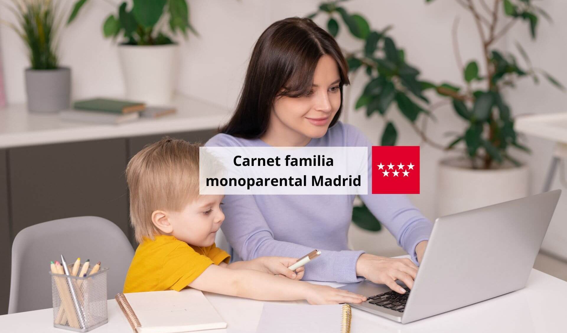 ayudas familia monoparental madrid