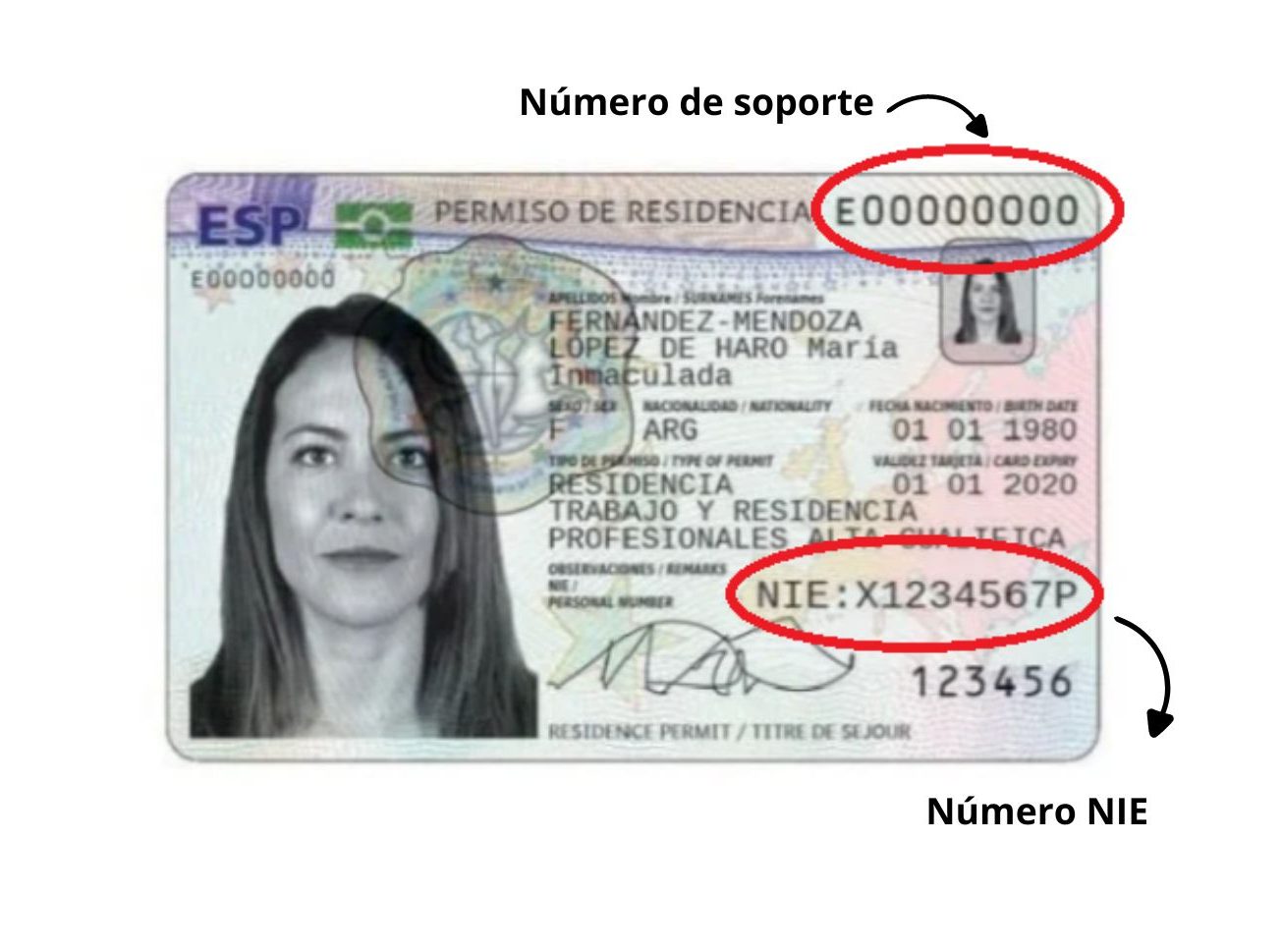N mero De Soporte Del NIE Cu l Es Y D nde Encontrarlo Tus Ayudas