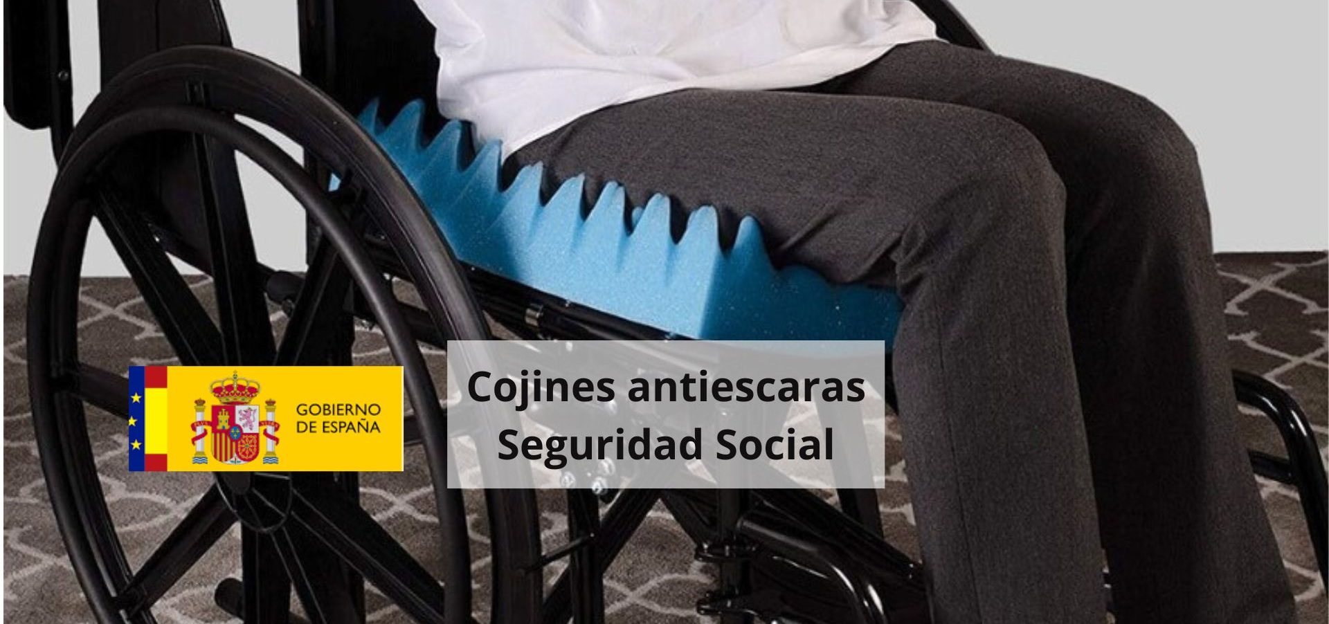 Cojín antiescaras seguridad social