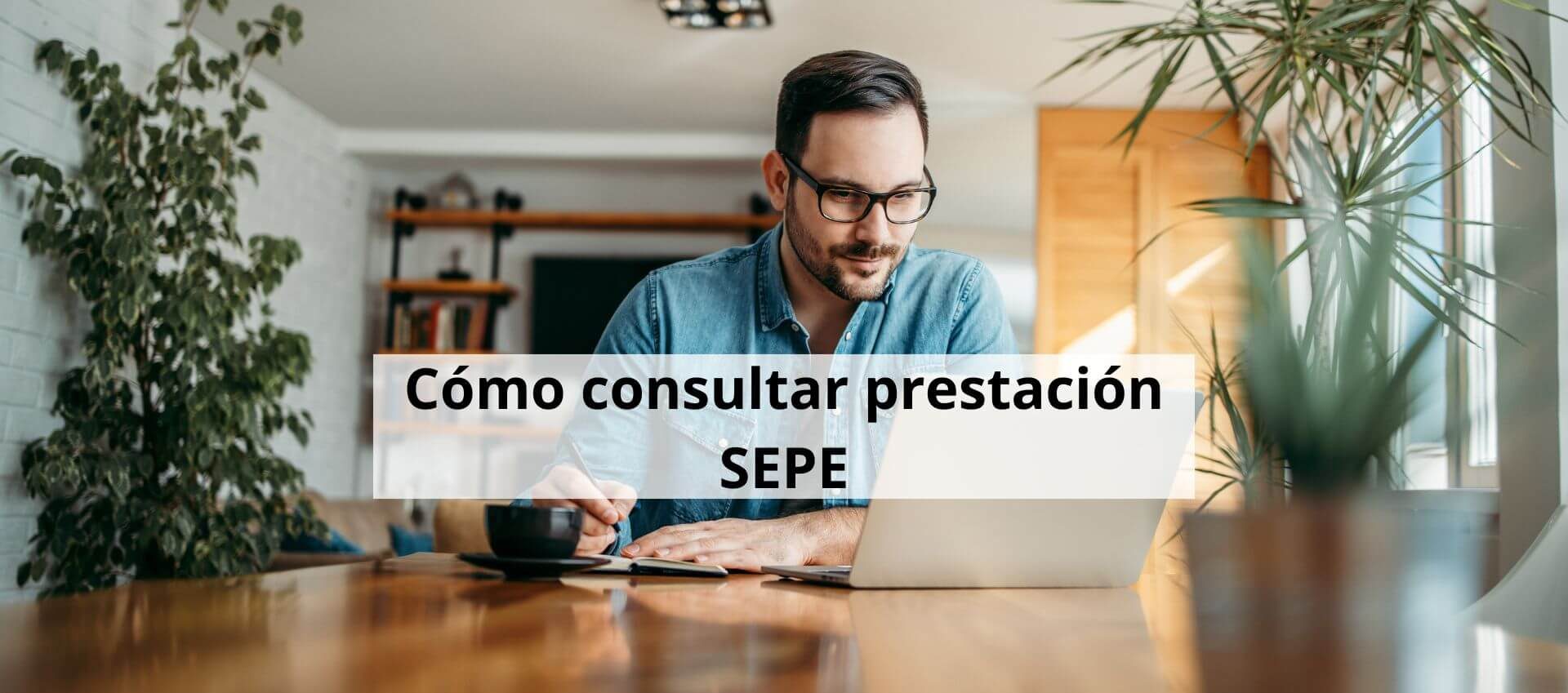 consultar prestacion sepe