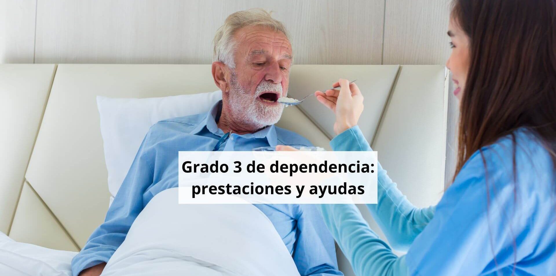 dependencia grado 3 prestaciones