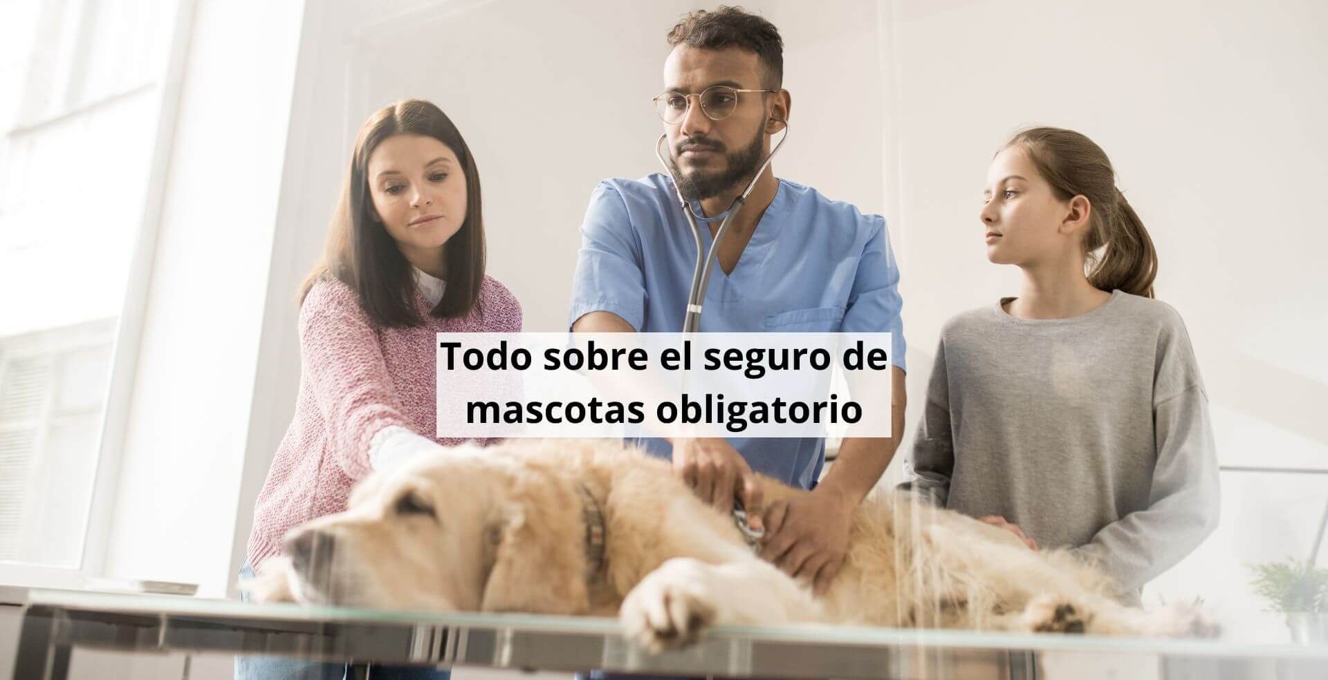 seguro para perros obligatorio