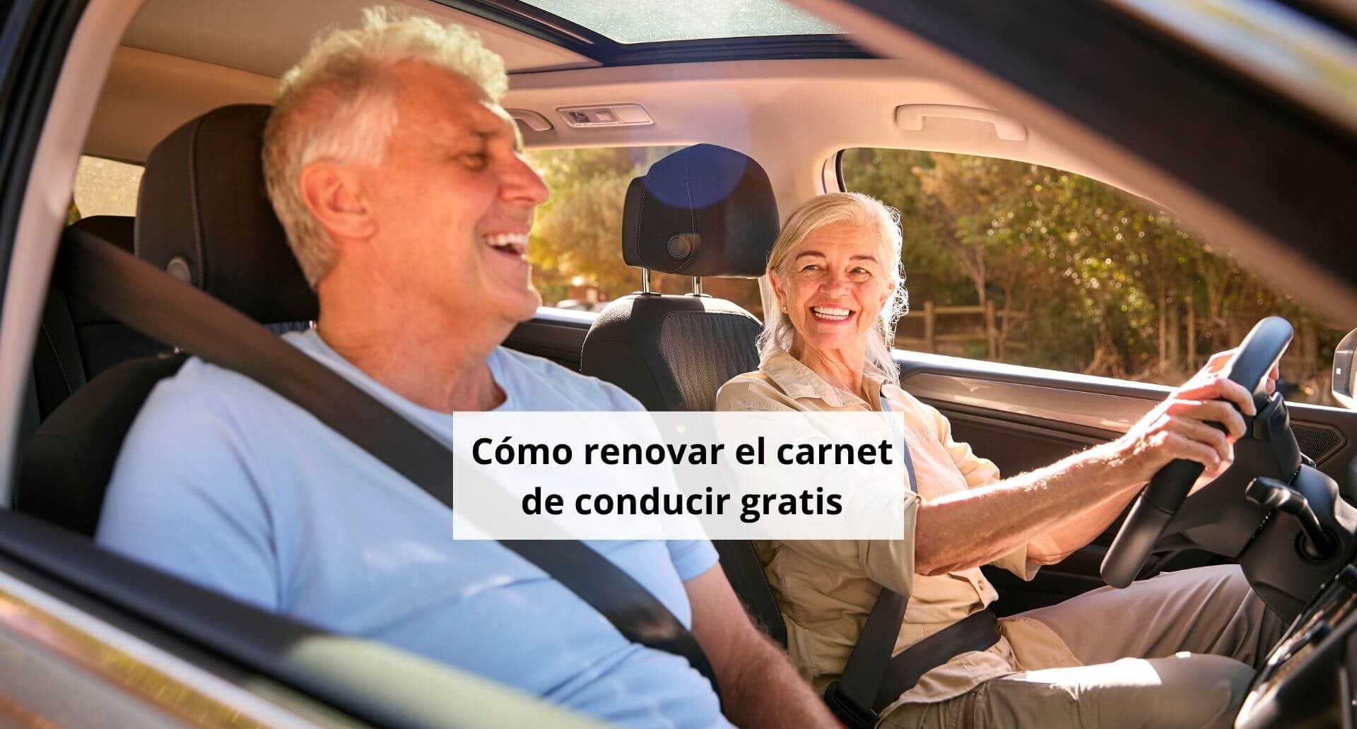 Renovar carnet de conducir gratis