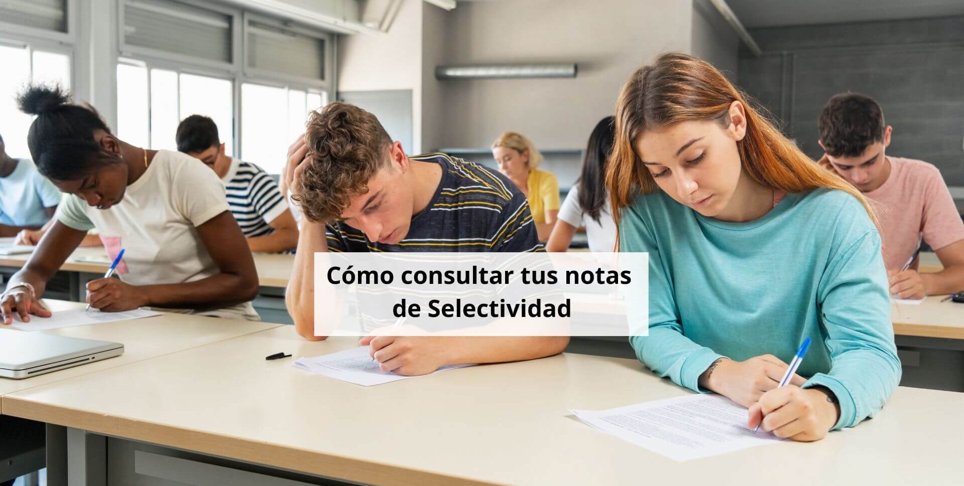 notas selectividad