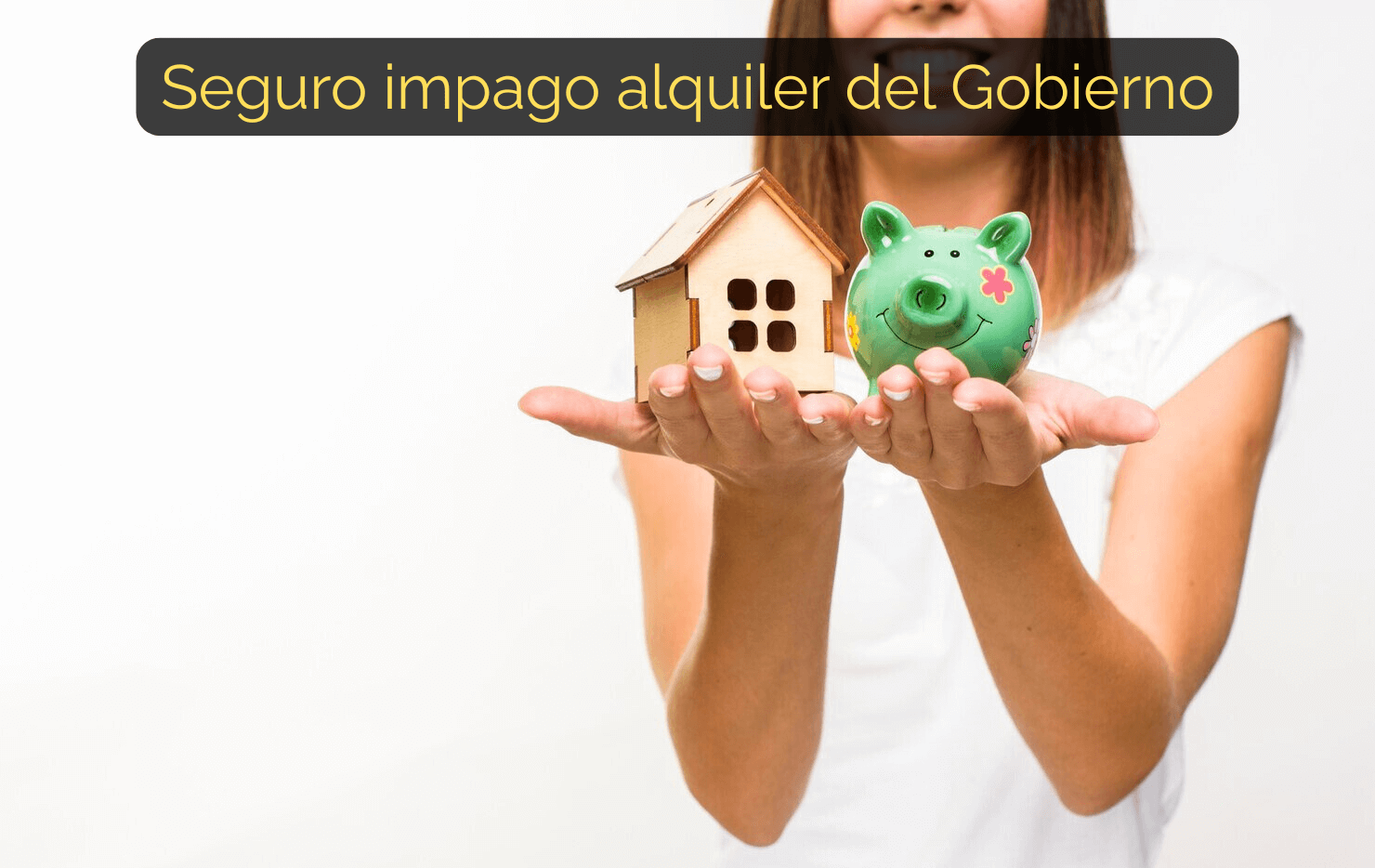 Seguro impago alquiler Gobierno