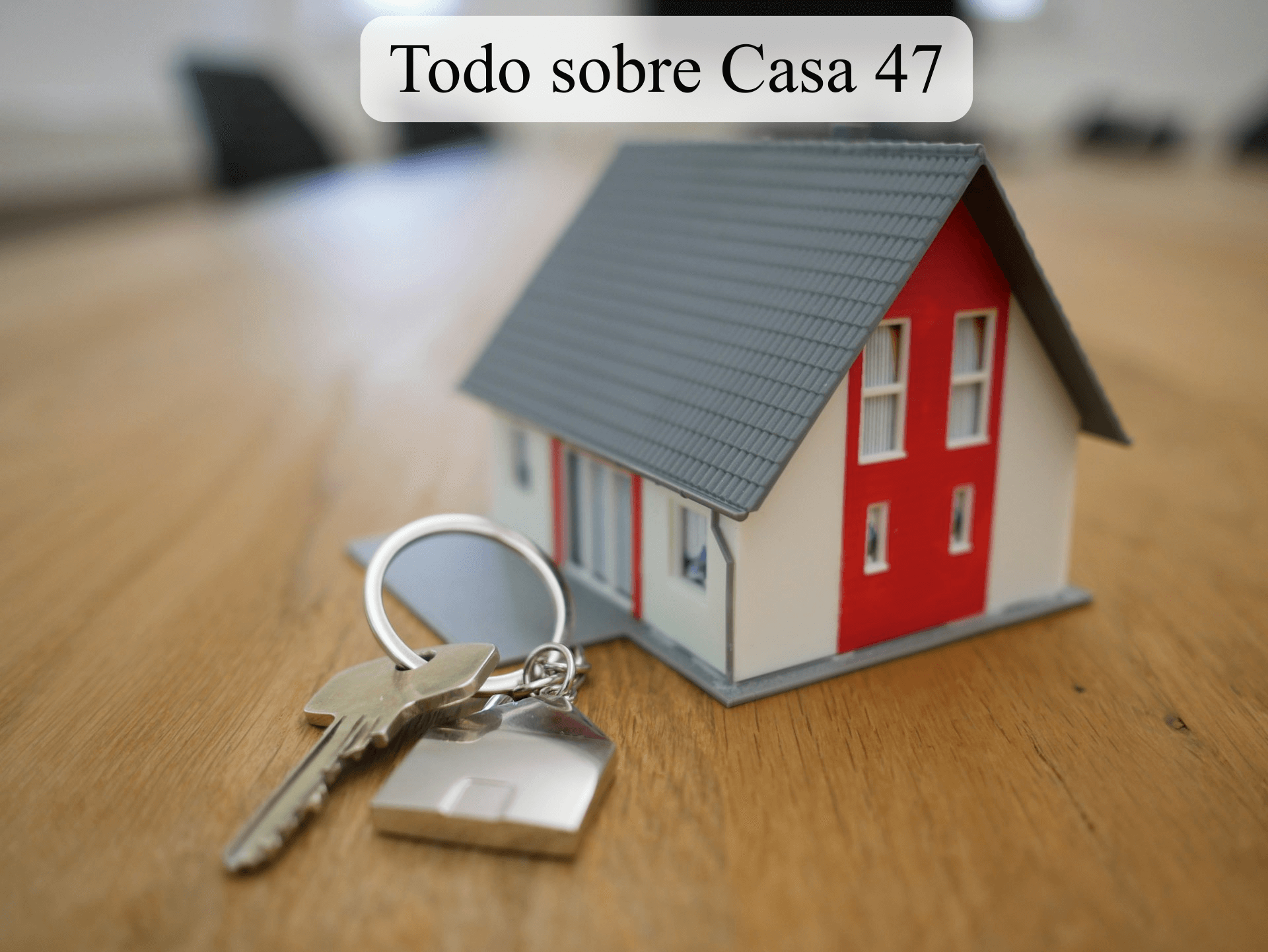 Qué es Casa 47
