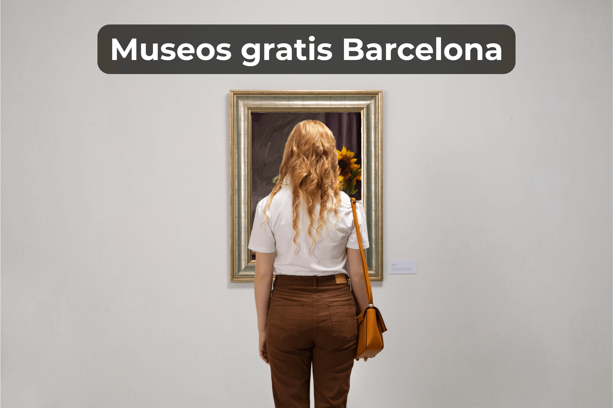 Museos gratis Barcelona 2026: guía con horarios y días sin pagar