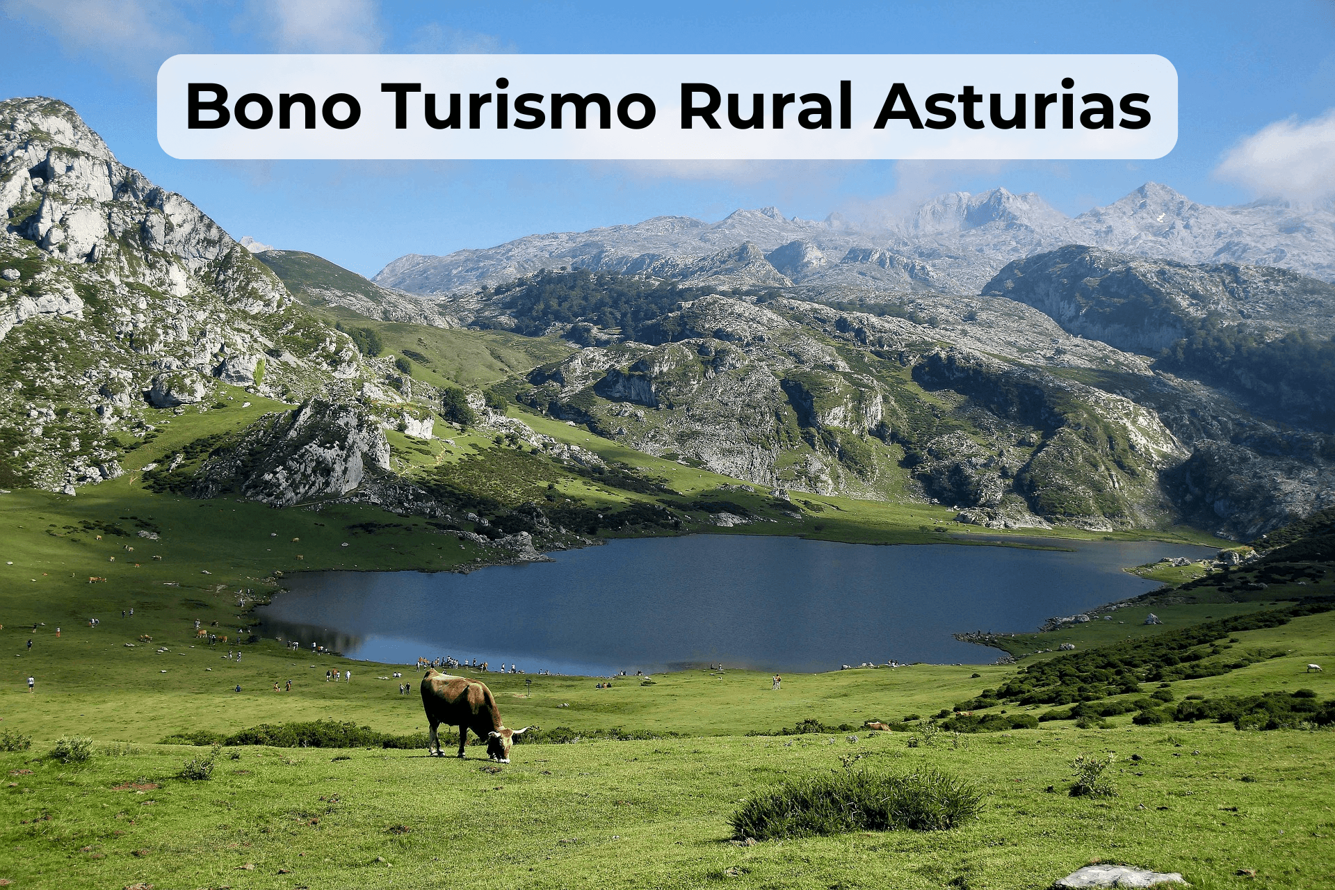 Bono Turismo Rural Asturias establecimientos adheridos