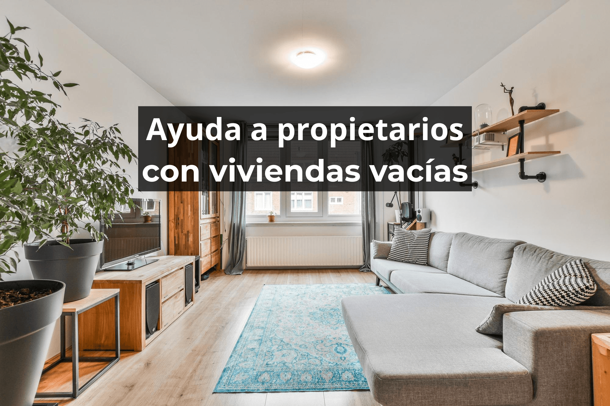 Ayuda propietarios viviendas vacías