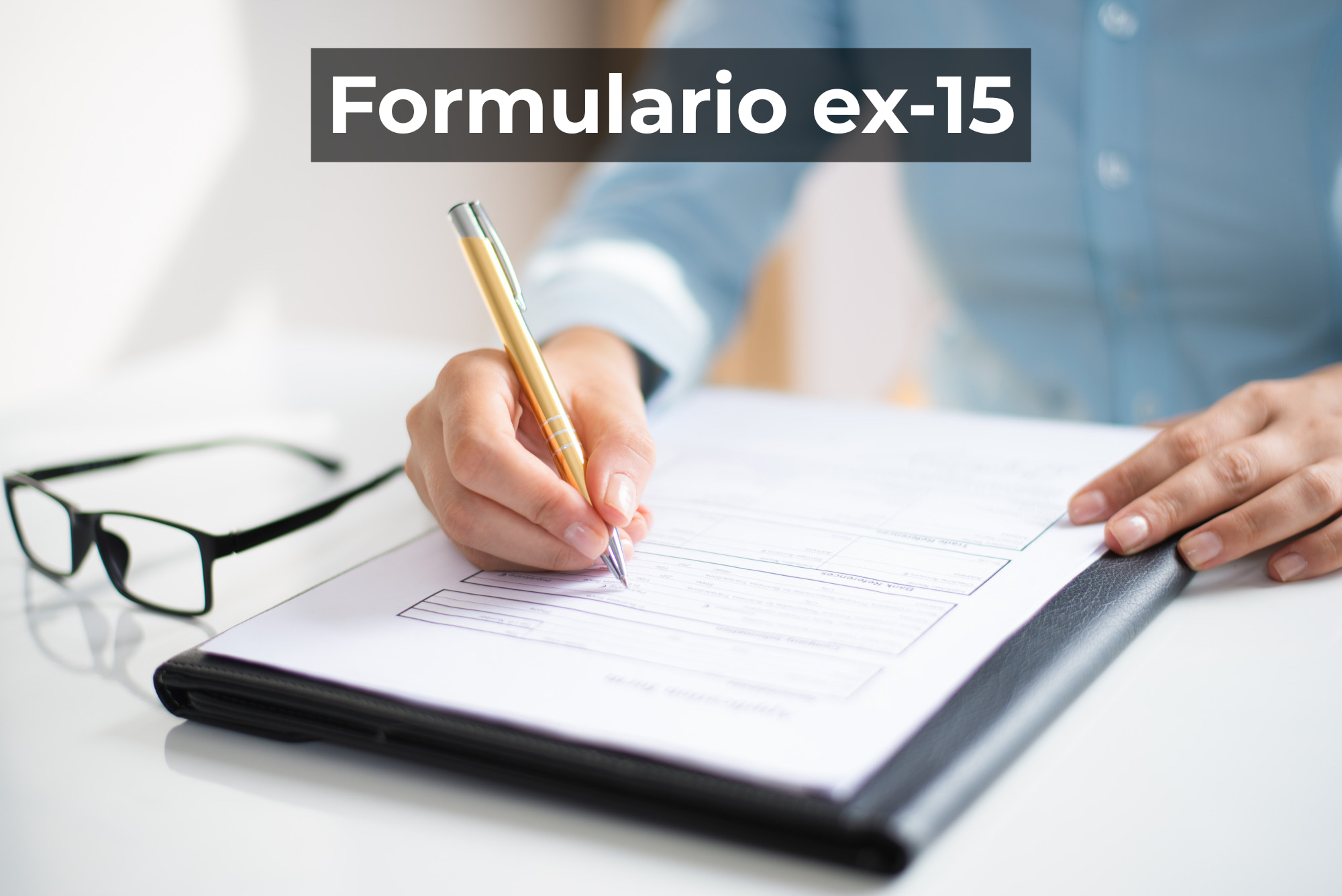 formulario ex-15